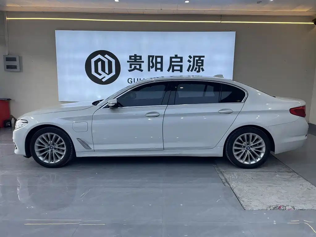 BMW 5 Series 5 2019 530Le Luxury