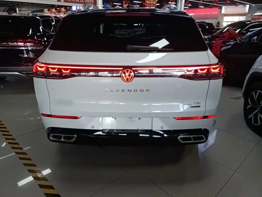 Volkswagen Tavendor — миниатюра 6