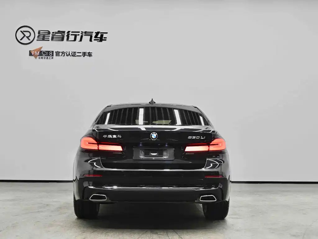 BMW 5 Series — миниатюра 5