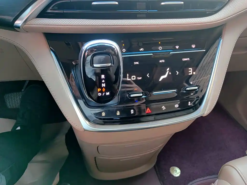 Buick GL8 — миниатюра 14