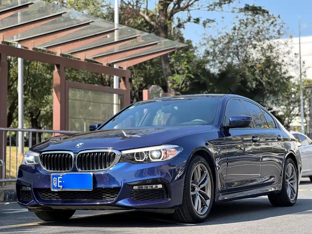 BMW 5 Series (Import) 2018