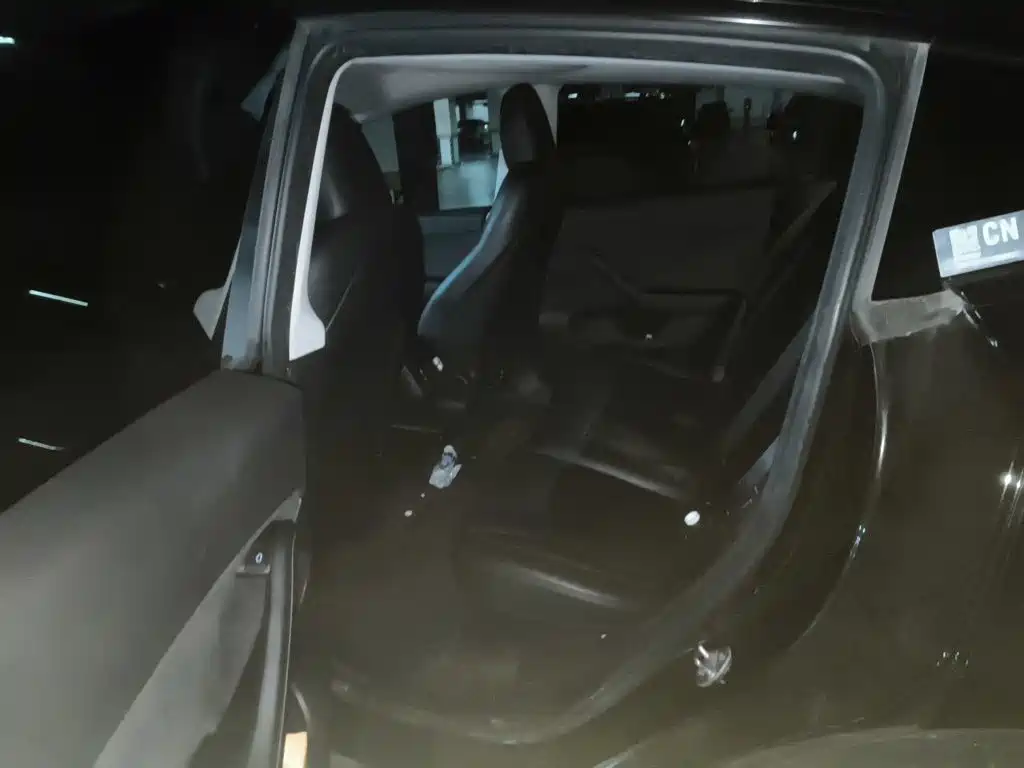 Tesla Model Y — миниатюра 13