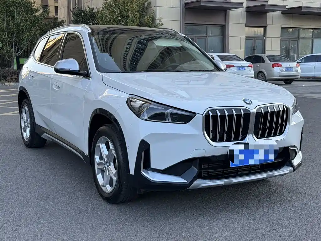 BMW X1 — миниатюра 2