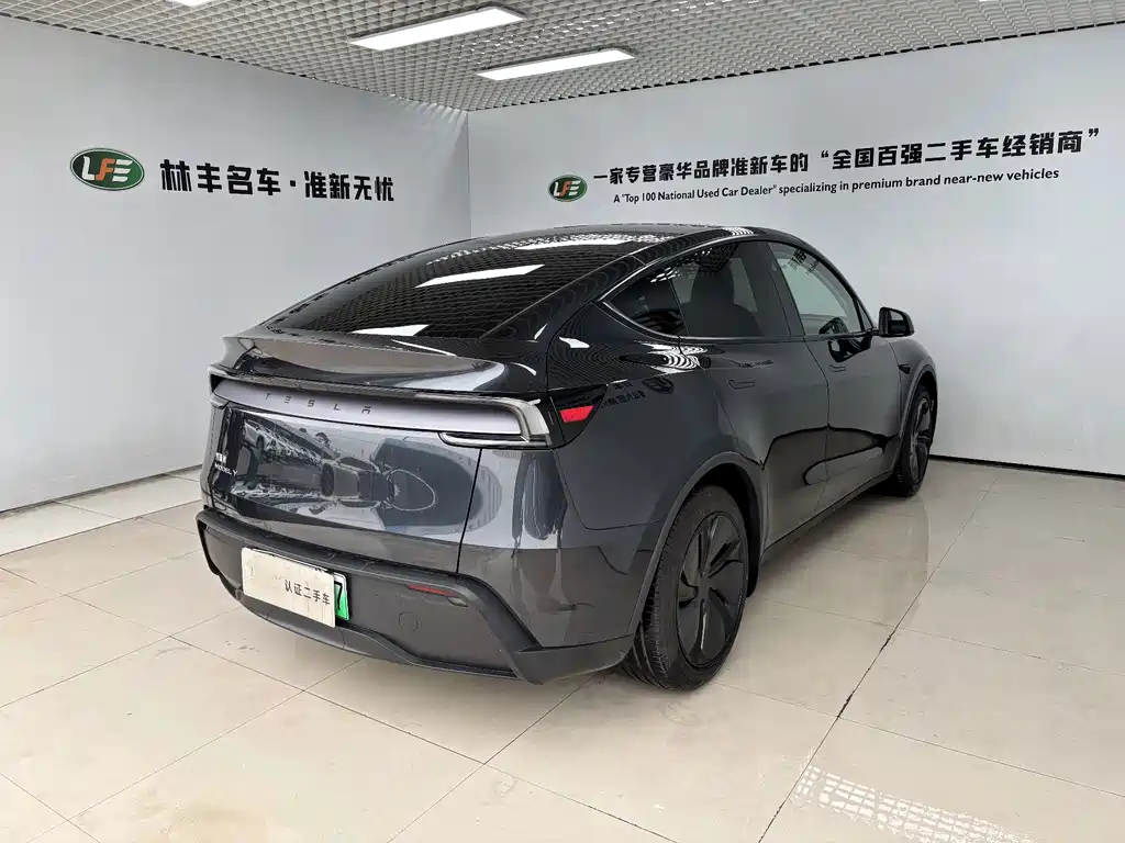 Tesla Model Y — миниатюра 4