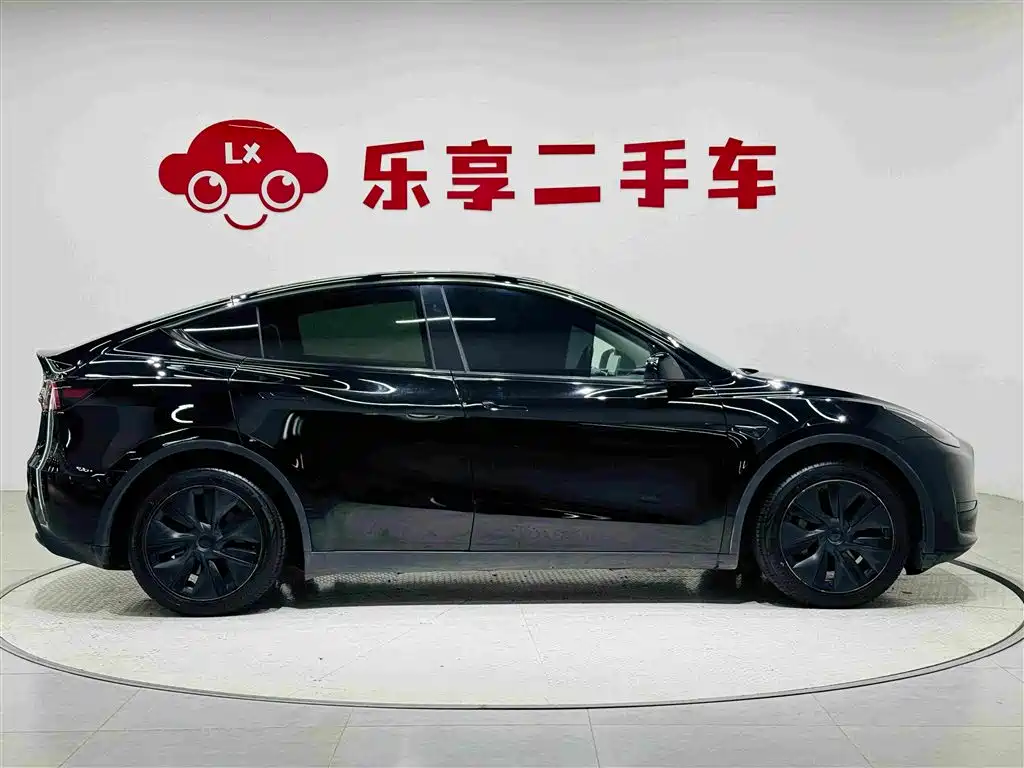 Tesla Model Y — миниатюра 6