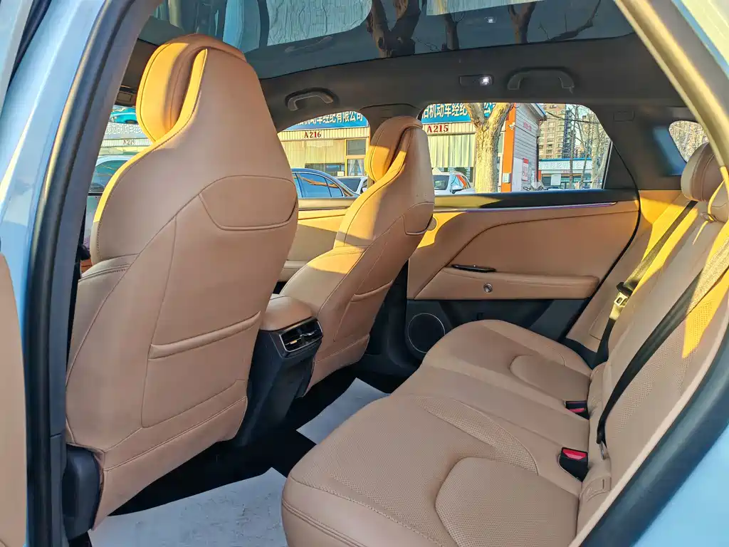 ARCFOX EXTREME FOX POLAR FOX ALPHA T5