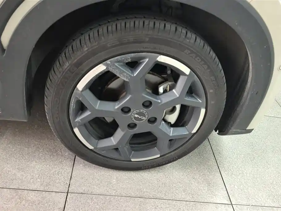 BYD Seagull 2025 Smart Drive 305km Freedom