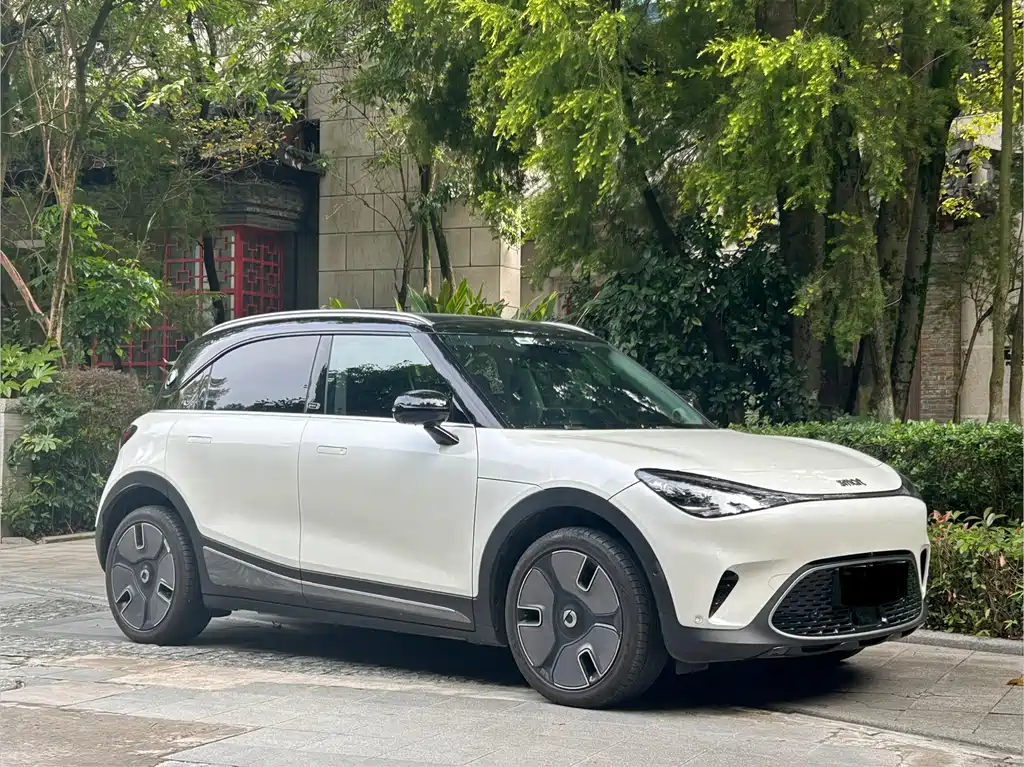 smart Smart #1 — миниатюра 3