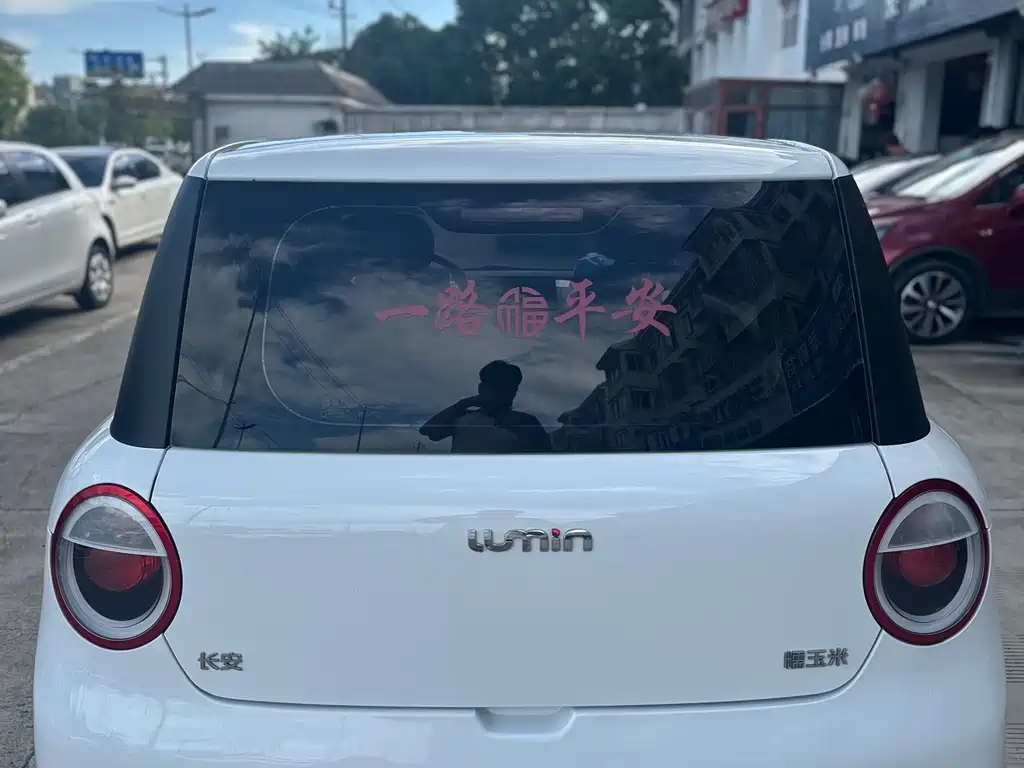 Qiyuan Lumin — миниатюра 5