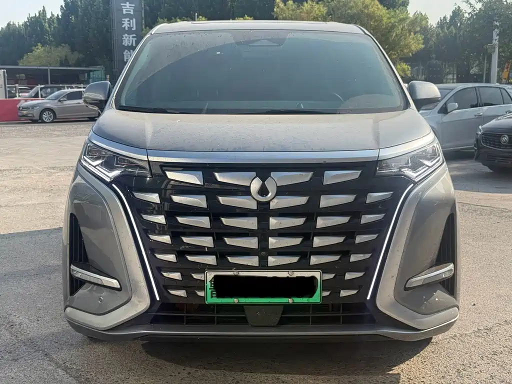 Denza Denza D9 — миниатюра 2