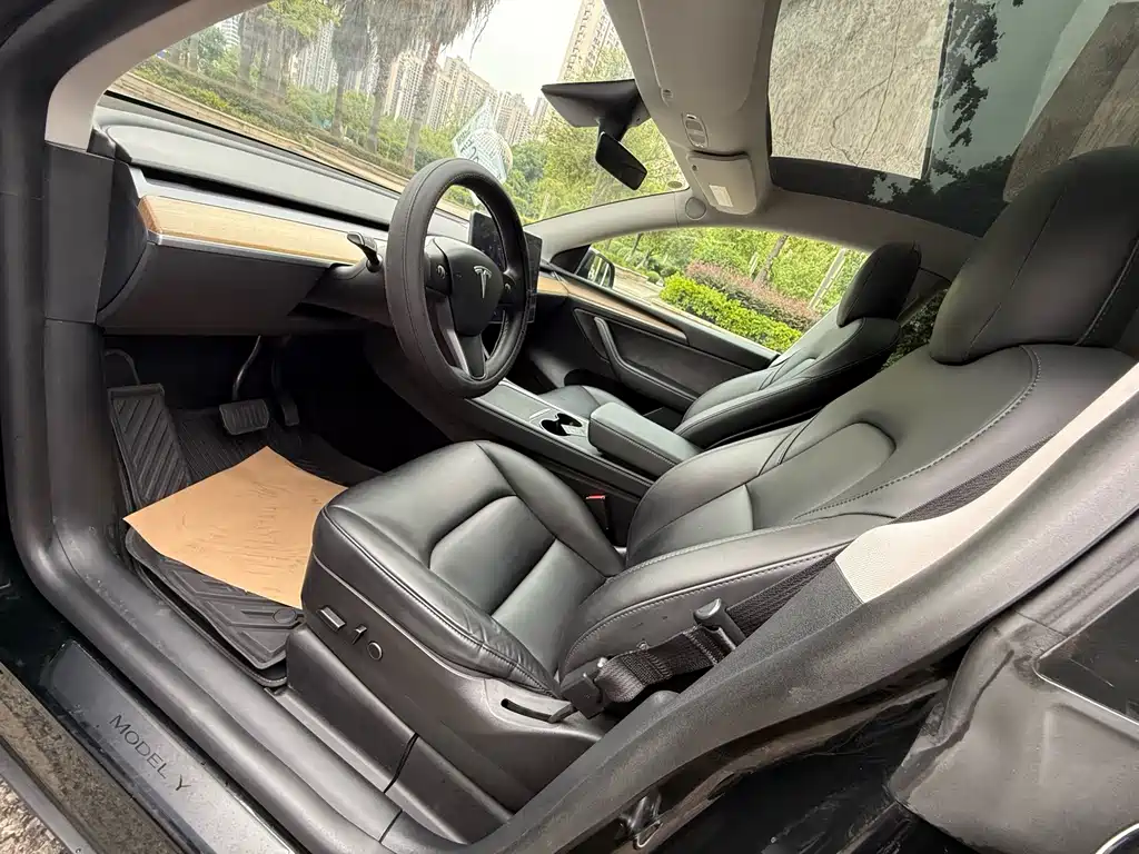 Tesla Model Y — миниатюра 10