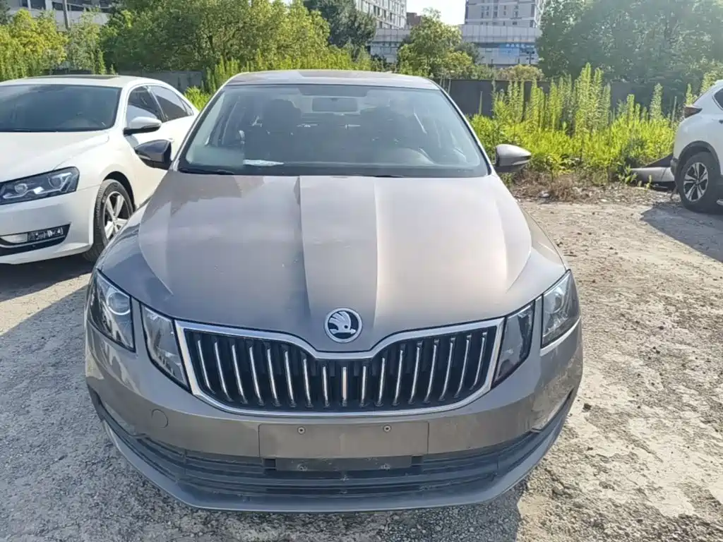 Skoda Octavia — миниатюра 3