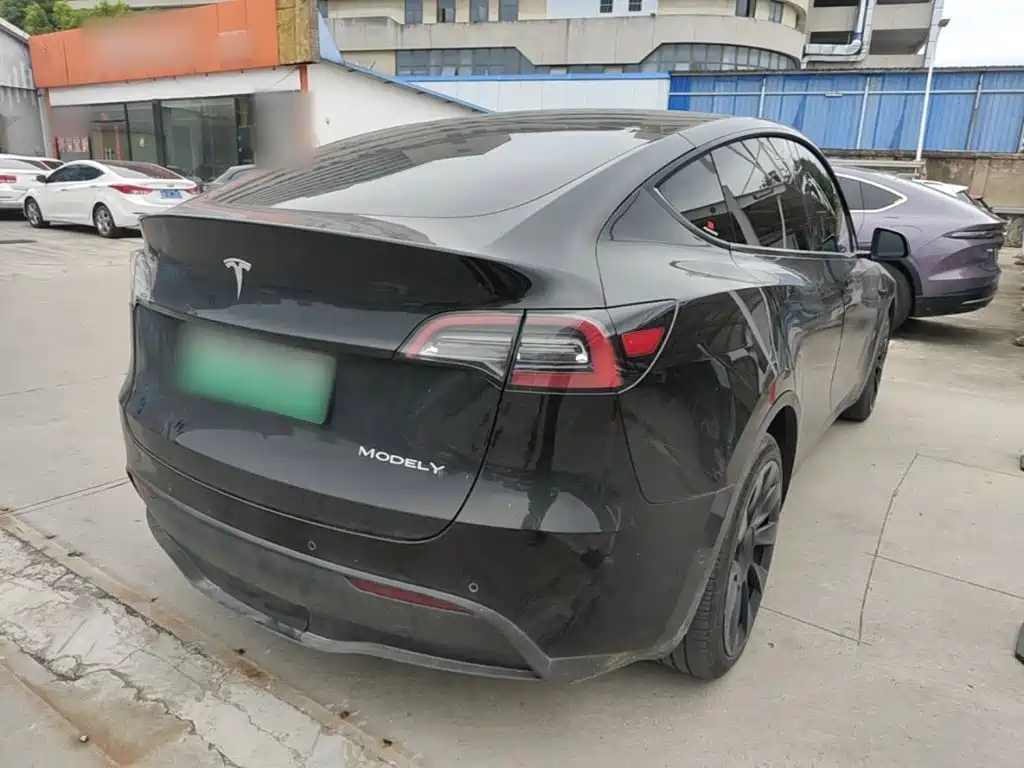 Tesla Model Y — миниатюра 7