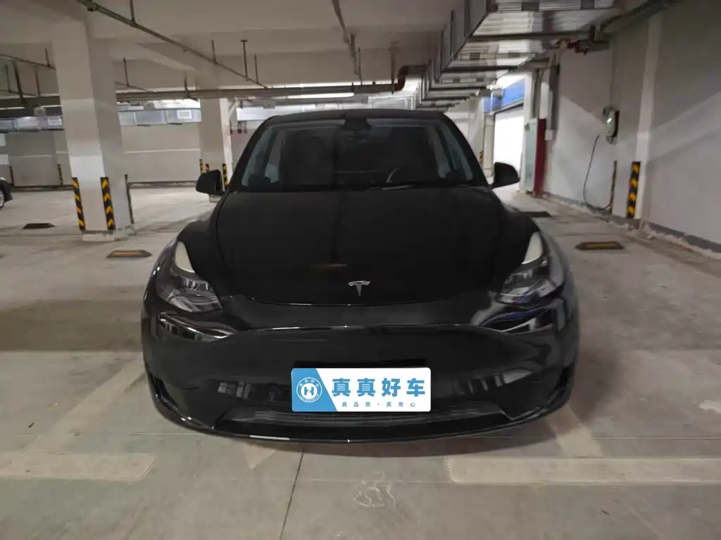 Tesla Model Y — миниатюра 2