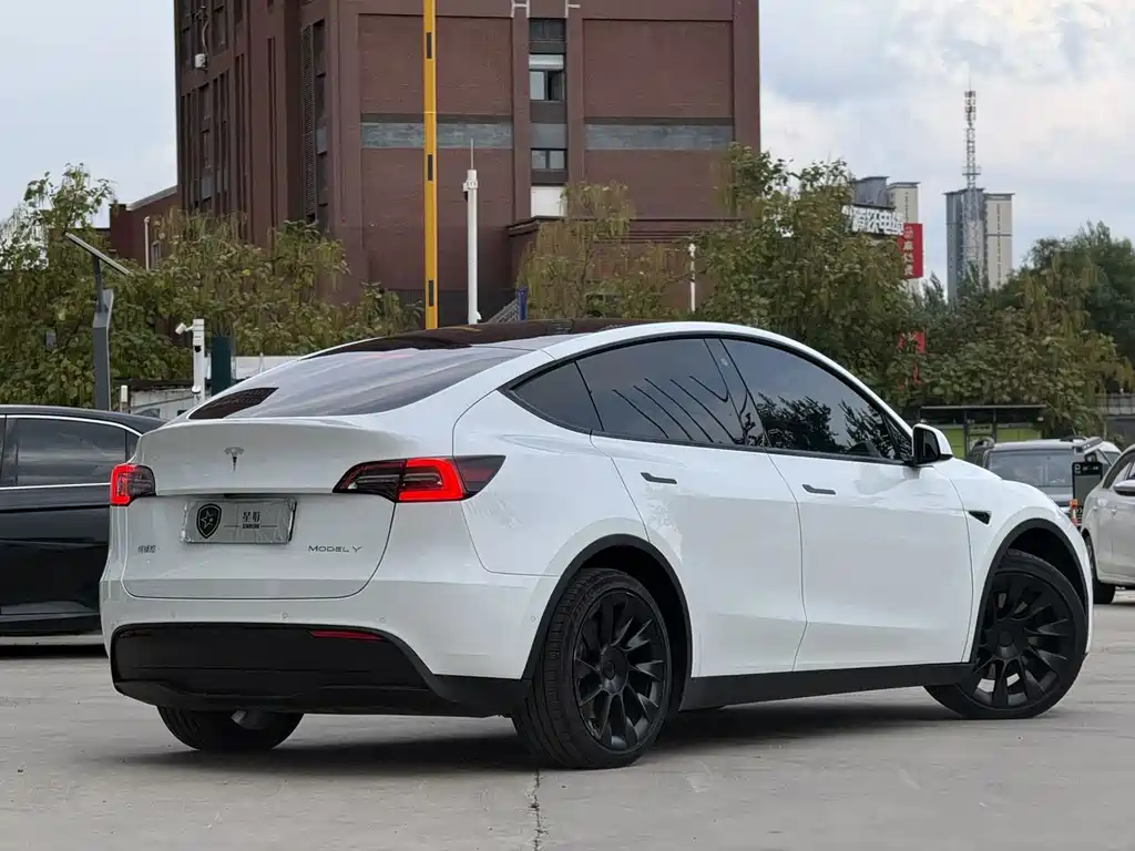 Tesla Model Y — миниатюра 6