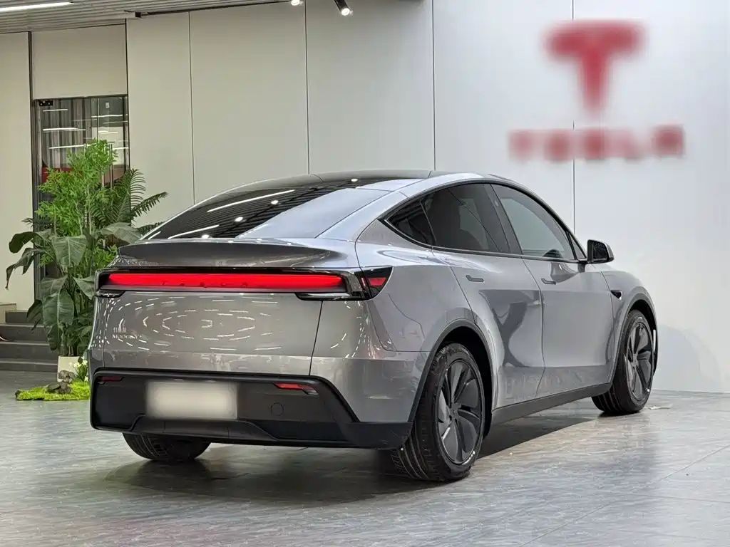 Tesla Model Y — миниатюра 7
