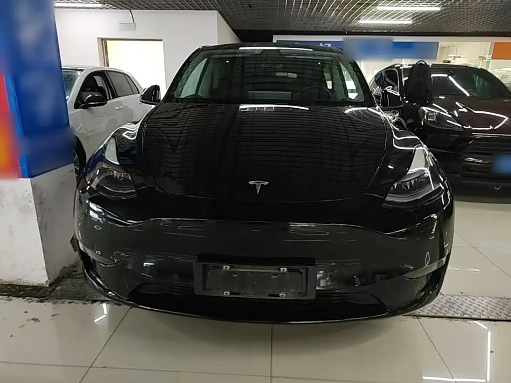 Tesla Model Y — миниатюра 3