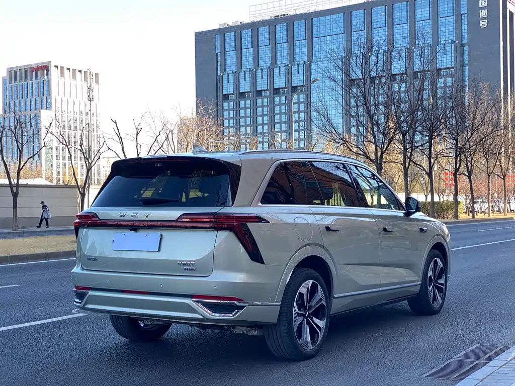 WEI PAI WEI BRAND BLUE MOUNTAIN