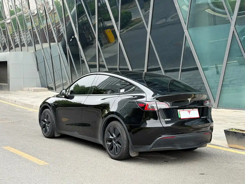 Tesla Model Y — миниатюра 4