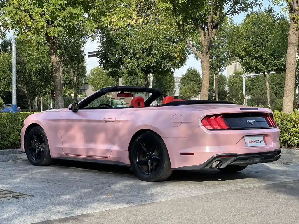 Ford Mustang — миниатюра 7
