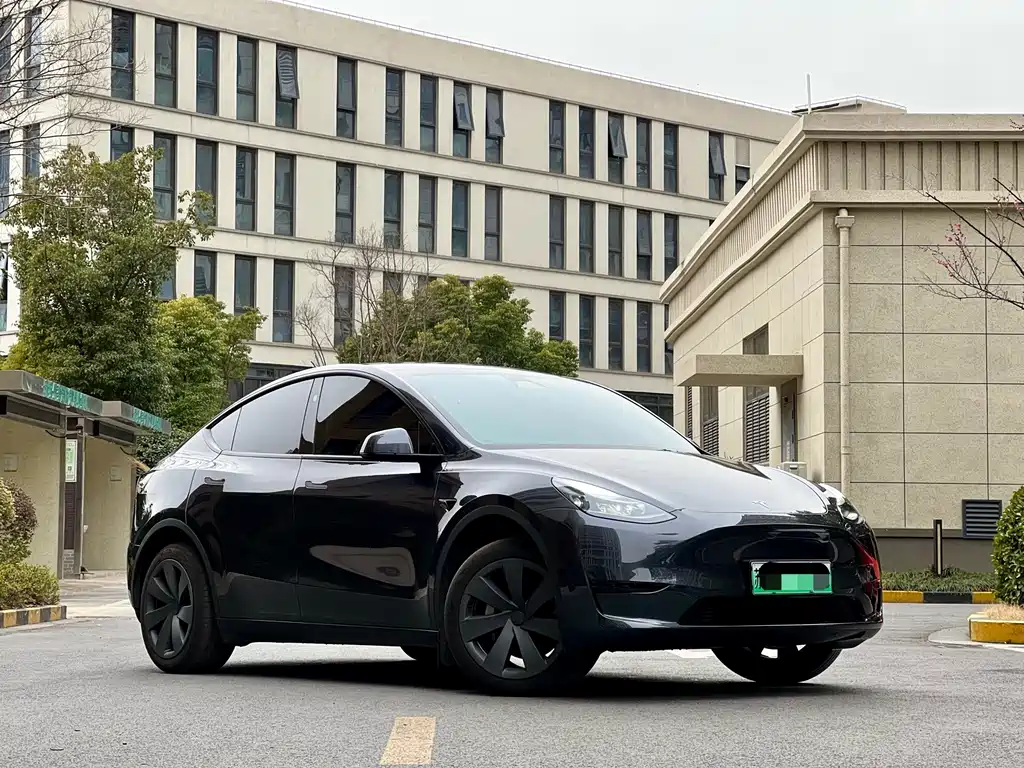 Tesla Model Y — миниатюра 3