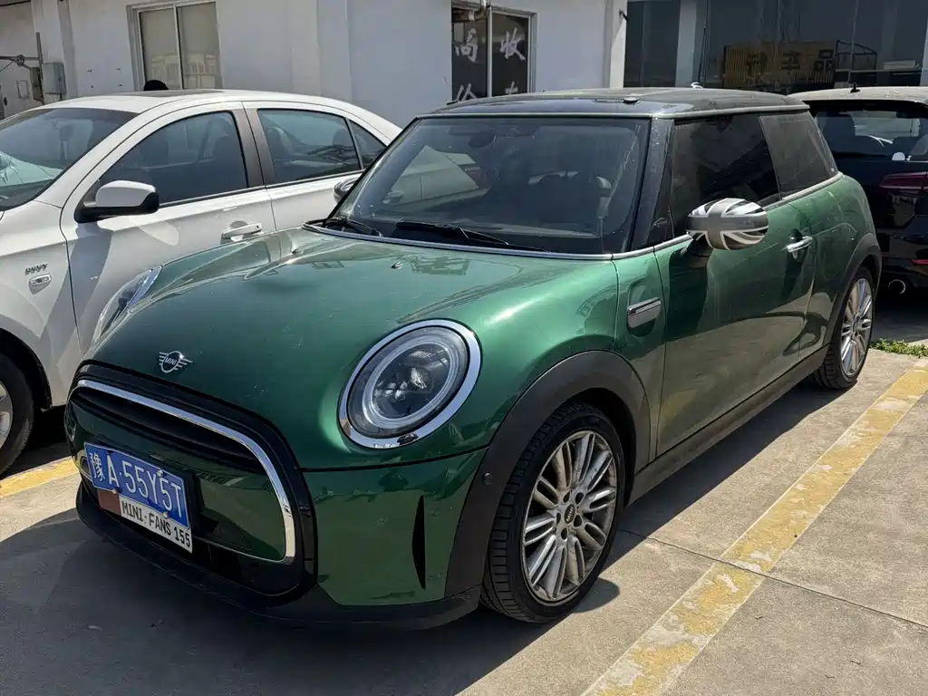 Mini Mini 2021