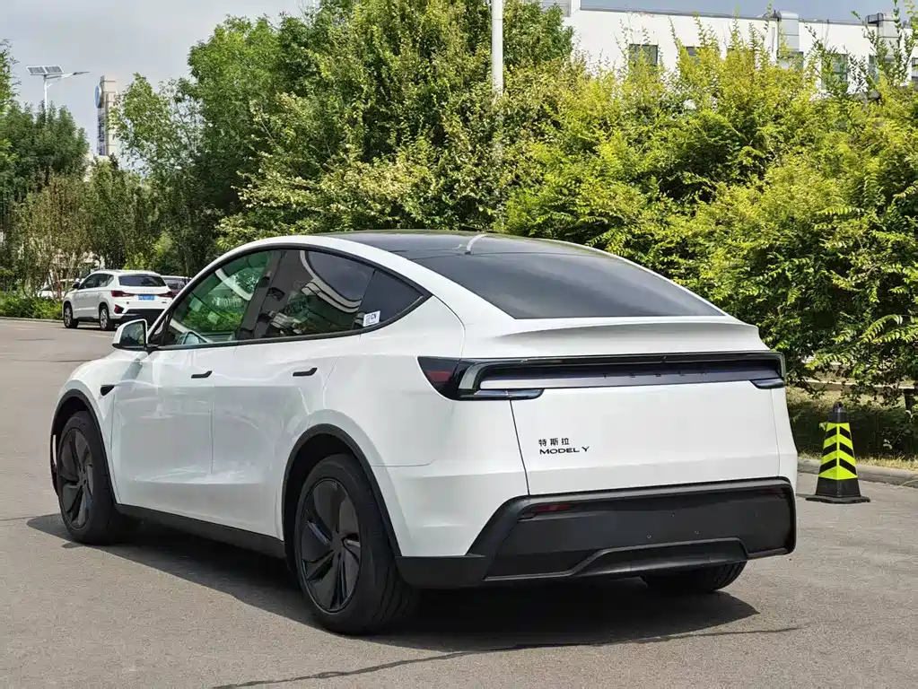 Tesla Model Y — миниатюра 9