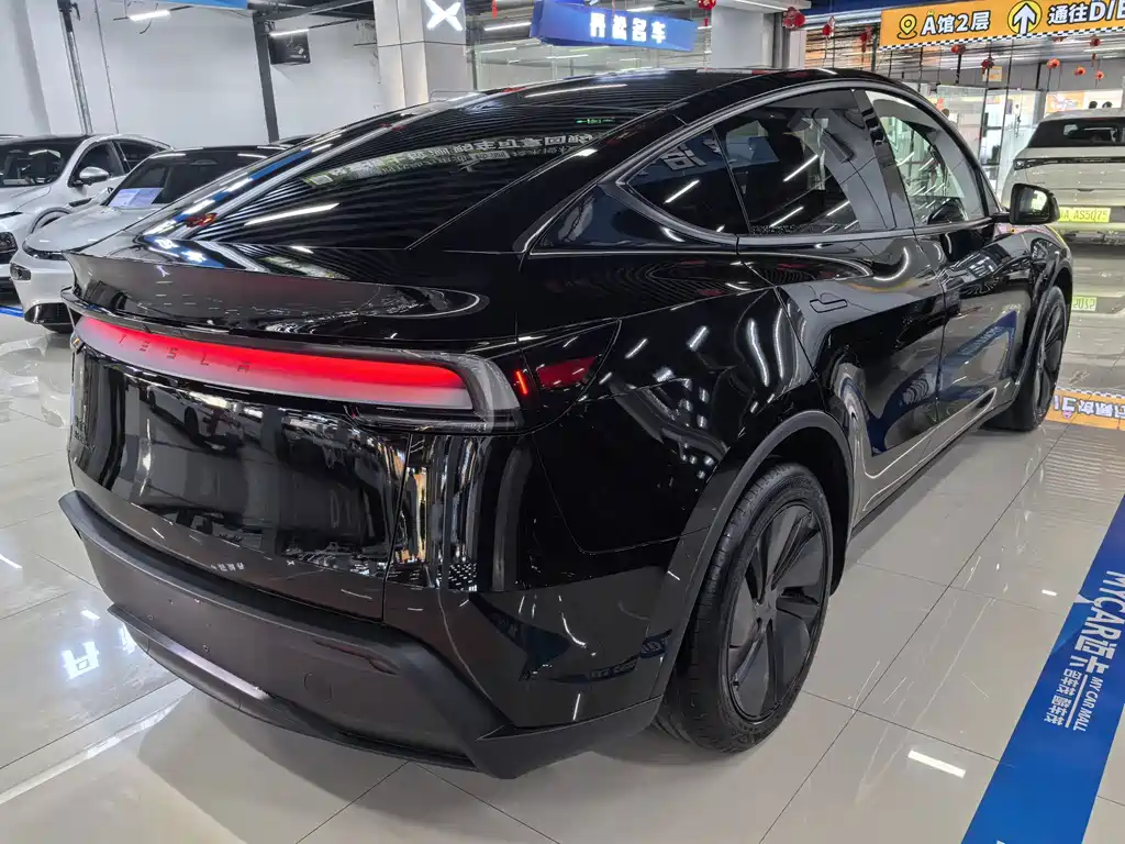 Tesla Model Y — миниатюра 4