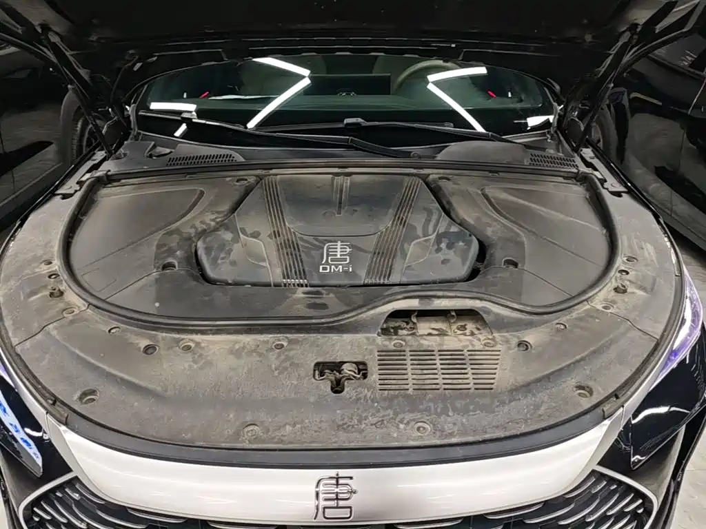 BYD Tang New Energy — миниатюра 20