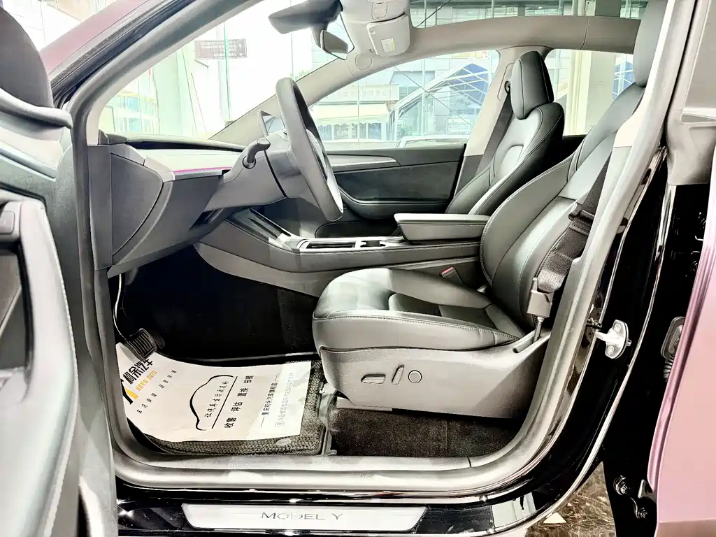 Tesla Model Y — миниатюра 5