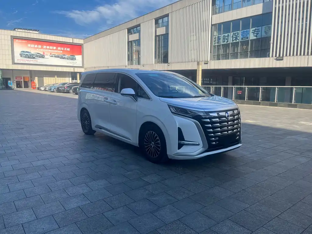 Denza Denza D9 — миниатюра 2