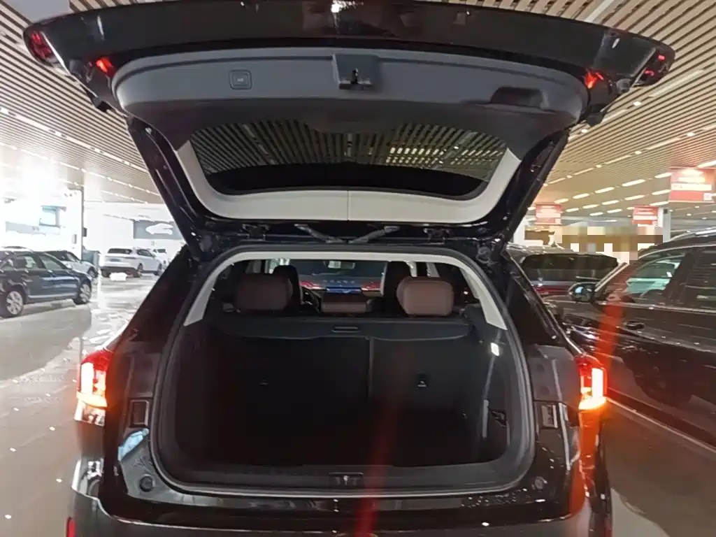 Wey Wey VV6 — миниатюра 19