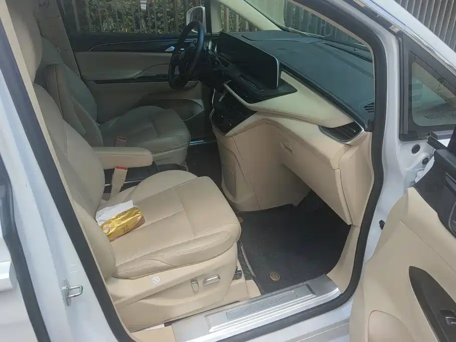 Buick GL8 — миниатюра 8