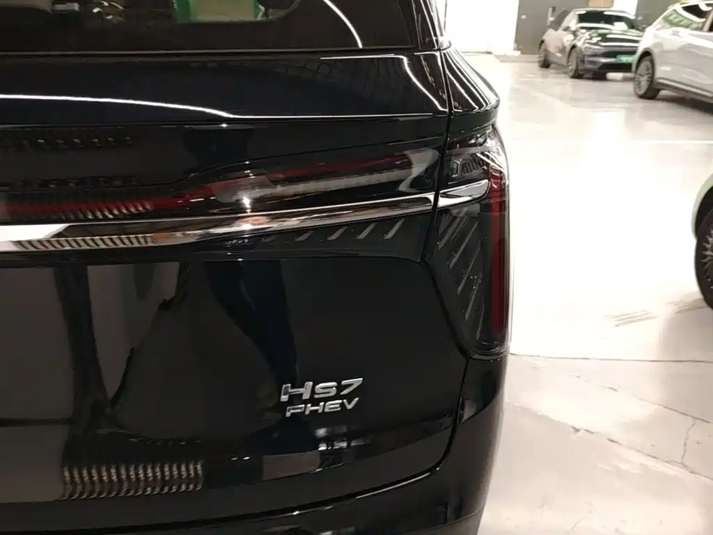 Hongqi Hongqi HS7 PHEV — миниатюра 8