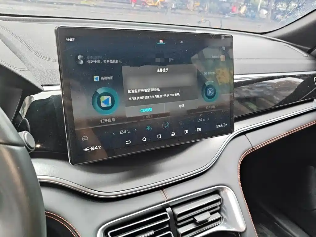 BYD PLUS — миниатюра 6