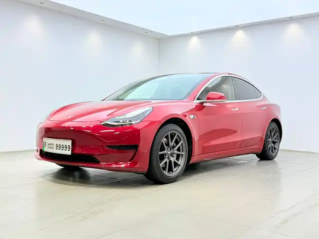 TESLA MODEL 3 2020