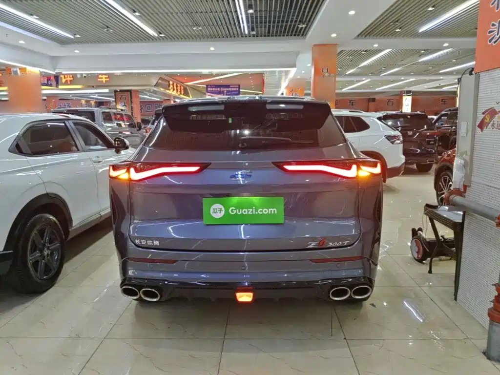 Oshan Oushang Z6 — миниатюра 6