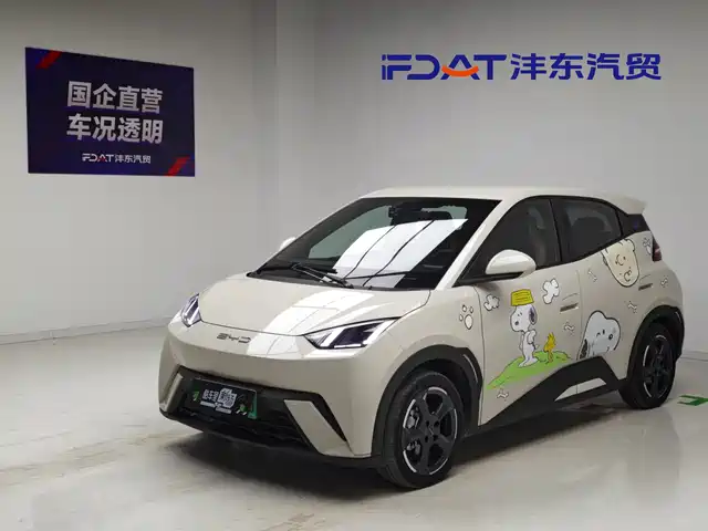 BYD Seagull