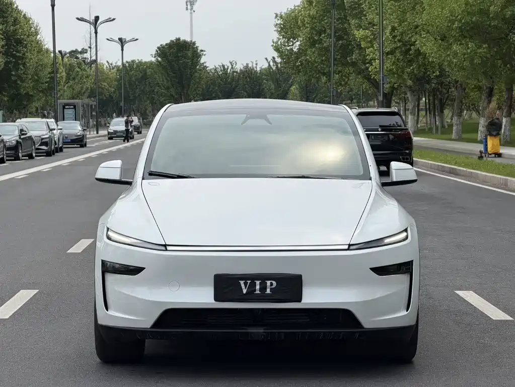 Tesla Model Y — миниатюра 2