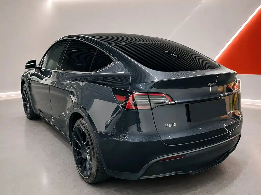 Tesla Model Y — миниатюра 6