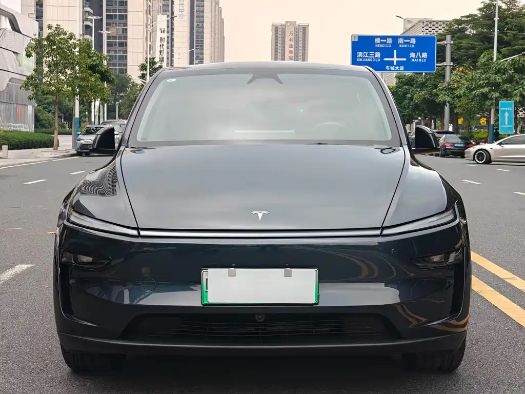 Tesla Model Y — миниатюра 2