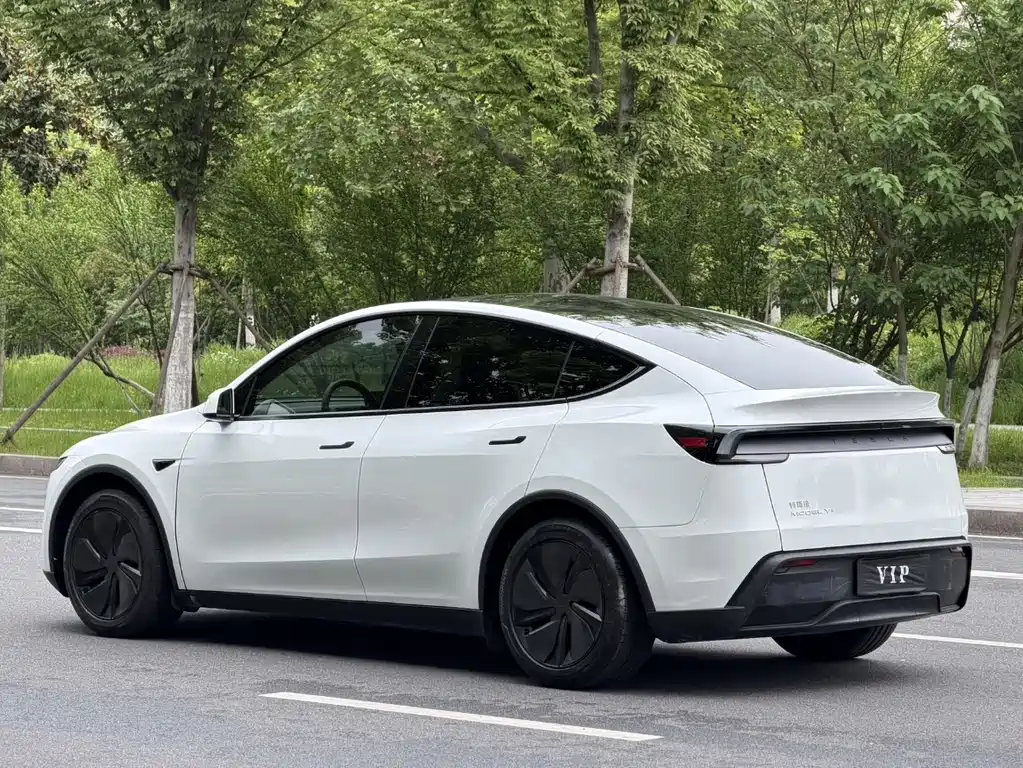 Tesla Model Y — миниатюра 12