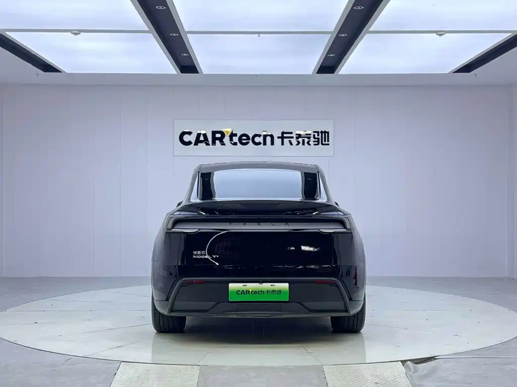 Tesla Model Y — миниатюра 4