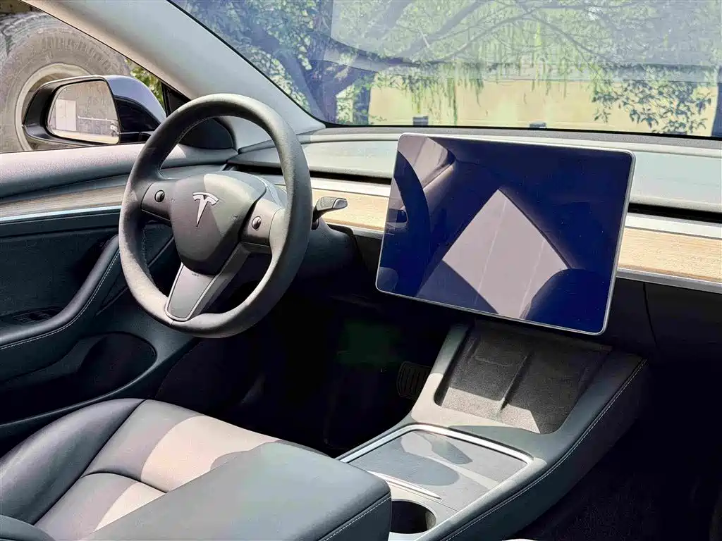 Tesla Model 3 — миниатюра 17