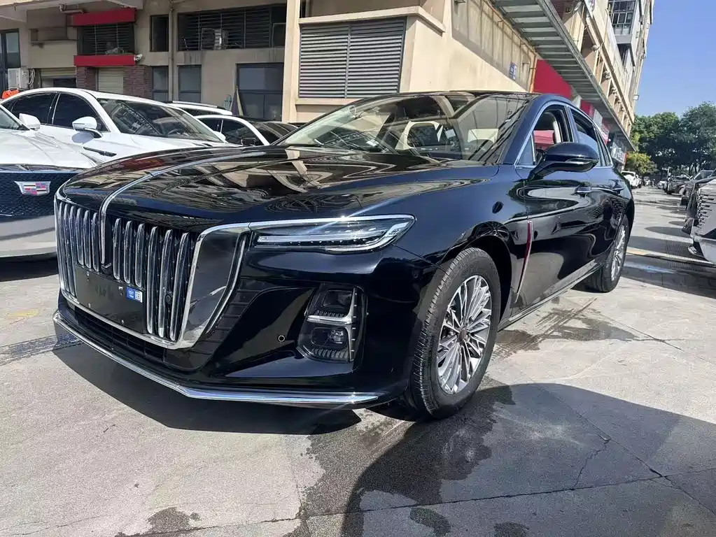 Hongqi Hongqi H5 2024