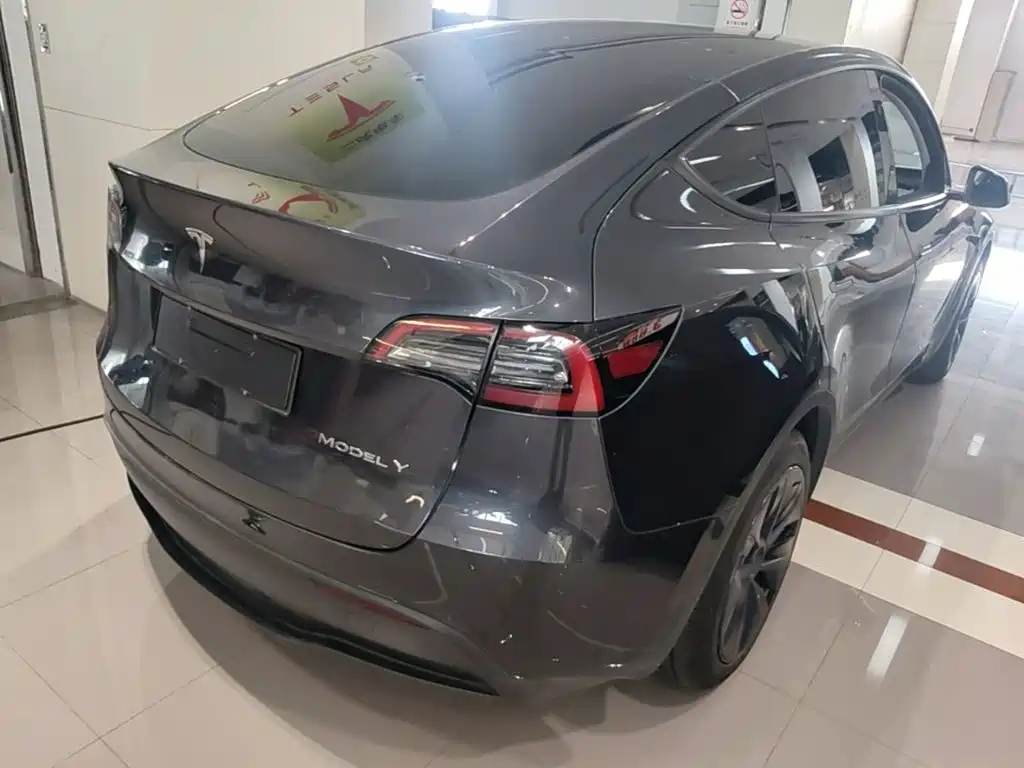 Tesla Model Y — миниатюра 7