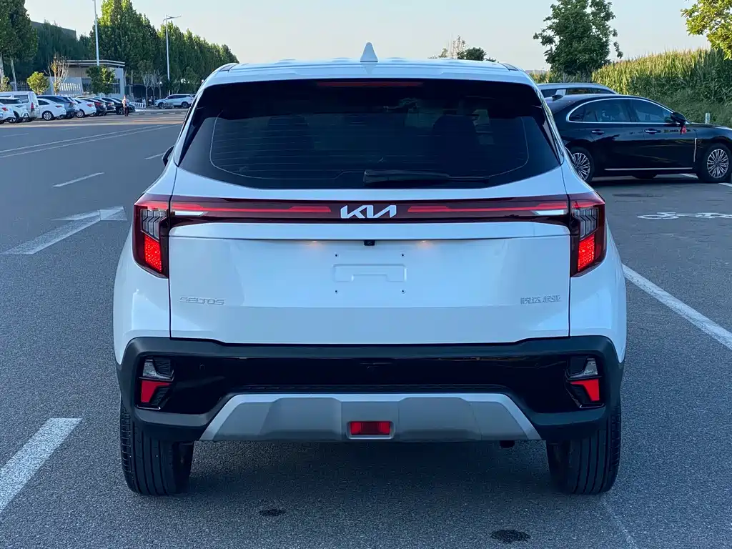 Kia Seltos — миниатюра 13