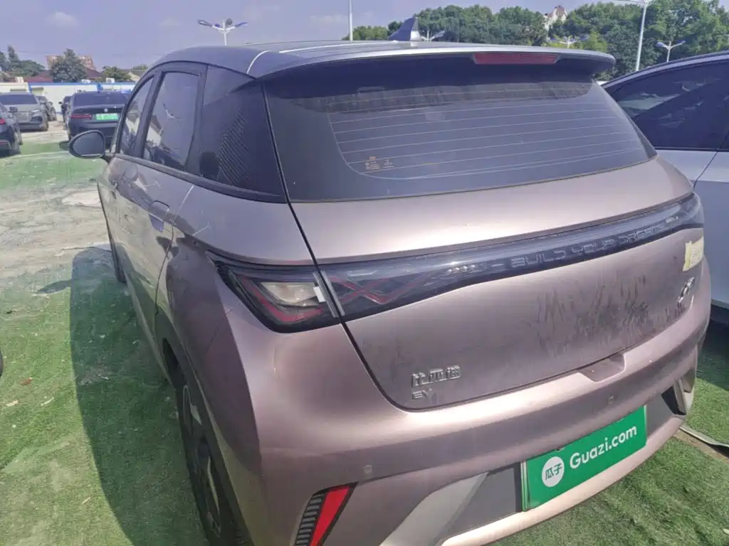 BYD Dolphin — миниатюра 5