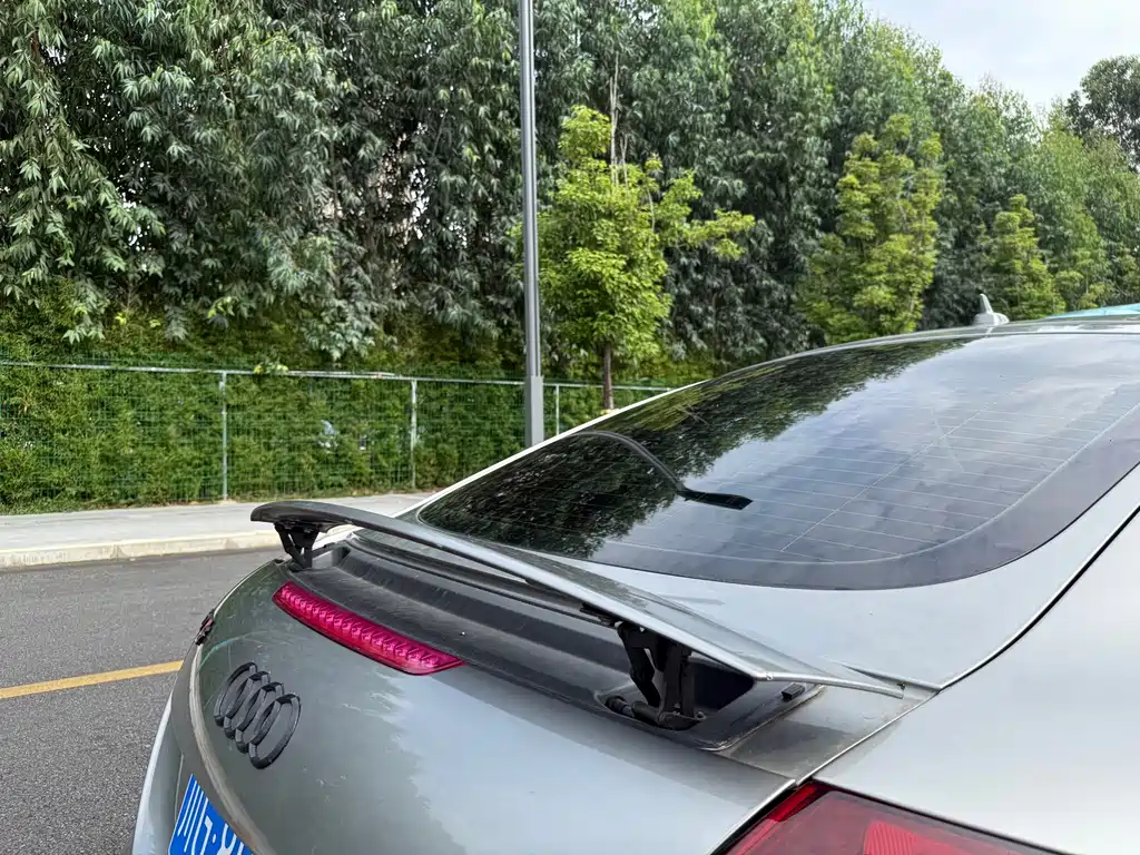 Audi TTS — миниатюра 25