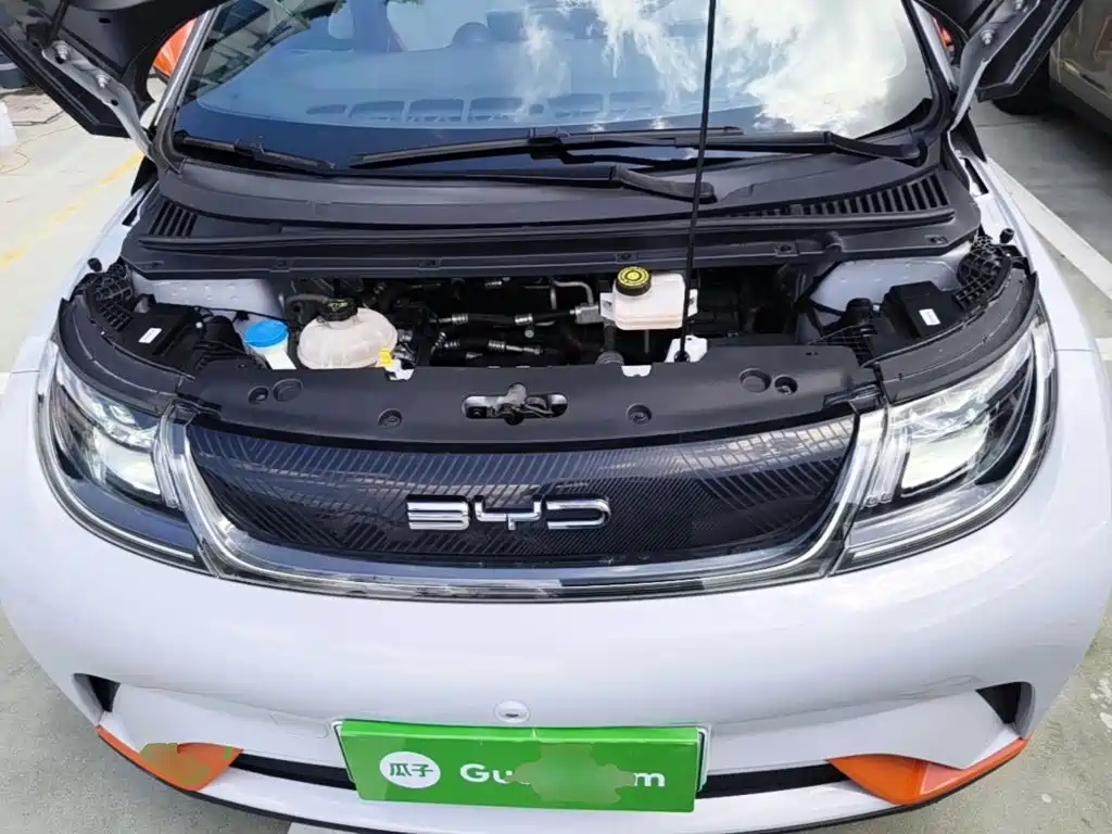 BYD Dolphin — миниатюра 20